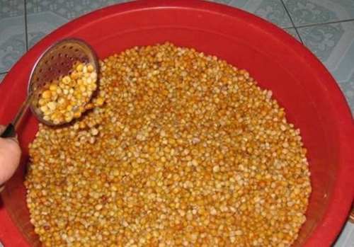 玉米粒挂饵钓鱼的方法_WWW.YUJUCEPING.COM