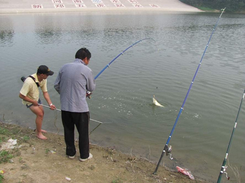 高手教你避免大风使钩饵分离_WWW.YUJUCEPING.COM