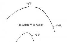 溜鱼防止断竿的技巧