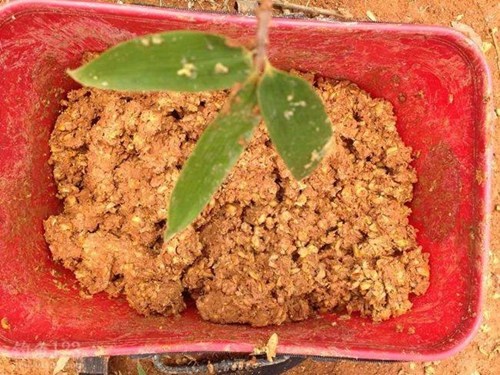 冬天野钓怎么样打窝_WWW.YUJUCEPING.COM