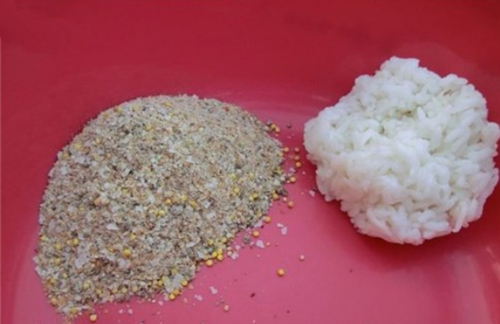 冬天用熟米饭粒钓鱼的技巧_WWW.YUJUCEPING.COM