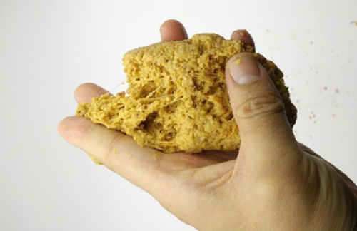 春天钓鲫鱼的用饵技巧_WWW.YUJUCEPING.COM