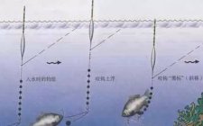 钓鱼主线与灵敏度的联系