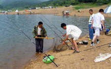夏天肥水水域中怎么让鱼上钩