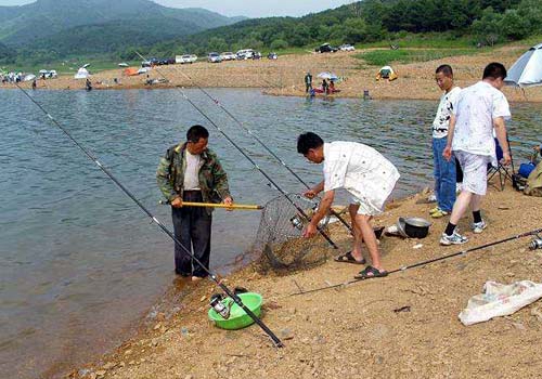夏天肥水水域中怎么让鱼上钩_WWW.YUJUCEPING.COM