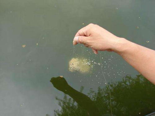 浮漂自动长目怎么办_WWW.YUJUCEPING.COM