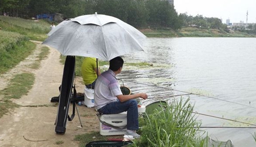 夏天钓鱼用什么味的小药比较好_WWW.YUJUCEPING.COM
