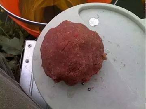 春天台钓饵料怎样选择_WWW.YUJUCEPING.COM
