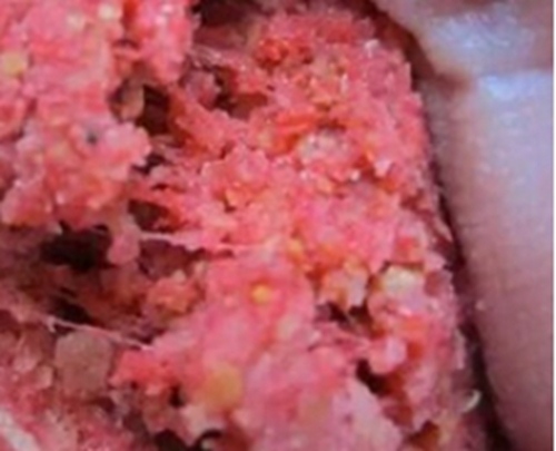 怎么应对开饵失败_WWW.YUJUCEPING.COM