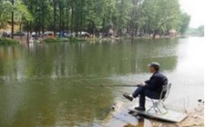 浅谈钓肥水鱼技巧