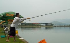 河流野钓鲫鱼的方法