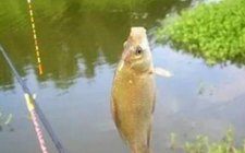 怎么用浮漂提高钓技