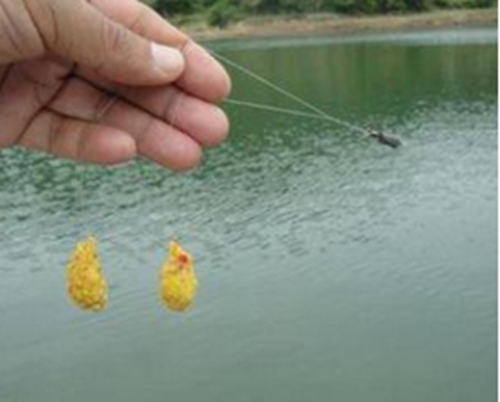 钓鱼时怎么调整饵料状态_WWW.YUJUCEPING.COM