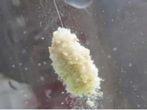钓鱼怎么选用小药原则_WWW.YUJUCEPING.COM