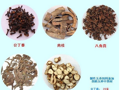分享几款中药诱鱼饵料配方_WWW.YUJUCEPING.COM