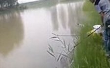谈谈怎么钓野窝