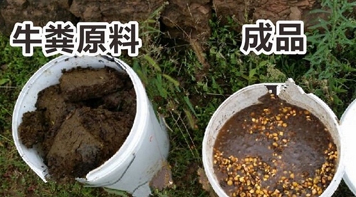 钓大鱼窝料 牛粪玉米窝料_WWW.YUJUCEPING.COM