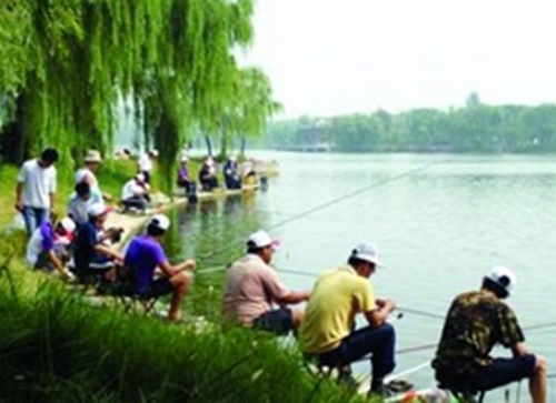 夏天钓鲢鳙鱼小窍门_WWW.YUJUCEPING.COM
