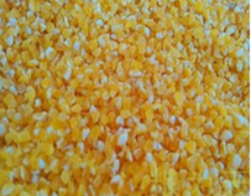 钓鱼诱饵应该注意的特点_WWW.YUJUCEPING.COM