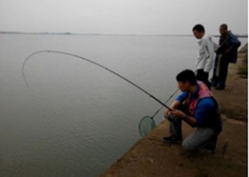夏天怎么钓海鳗_WWW.YUJUCEPING.COM