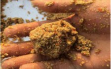 夏天钓鱼打窝的技巧
