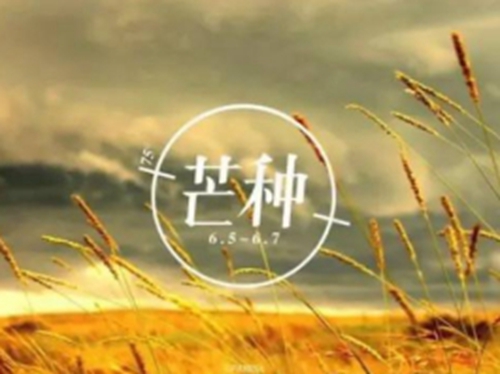 芒种时节打窝应该注意些什么_WWW.YUJUCEPING.COM