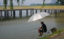 夏天窝里有泡不上鱼的原因
