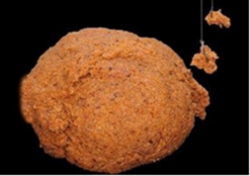 几种常见错误用饵方式_WWW.YUJUCEPING.COM