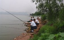 钓鱼需要掌握的基础规律