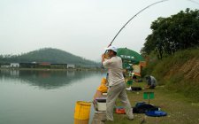 野钓小鲫鱼怎样调漂