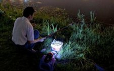 怎么选择钓鱼灯灯光 什么颜色好