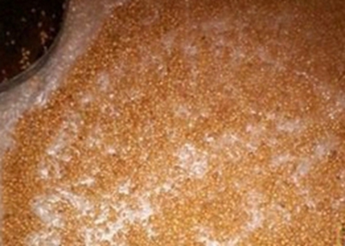 夏天钓草鱼的几个技巧_WWW.YUJUCEPING.COM