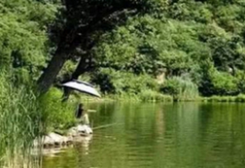 夏天钓鱼选准时机_WWW.YUJUCEPING.COM