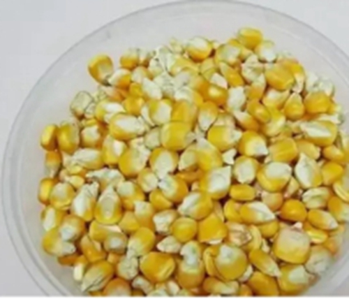 酒米饵料的使用原理_WWW.YUJUCEPING.COM