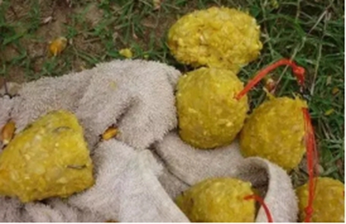野钓饵料玉米民间秘方_WWW.YUJUCEPING.COM