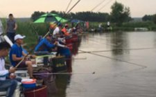 黑坑 赌塘 杆坑钓鱼经验总结