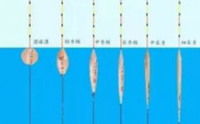浮漂常见漂型分享