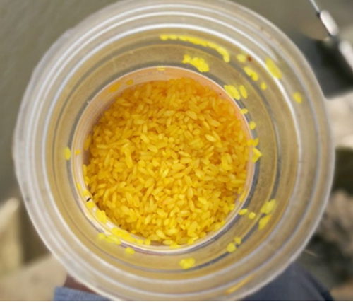 酒米打窝经验技巧_WWW.YUJUCEPING.COM