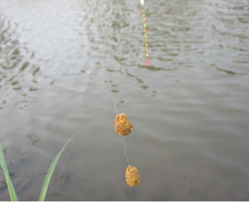 秋天钓鱼的注意事项_WWW.YUJUCEPING.COM