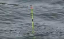 顿漂与送漂的浮漂信号总结
