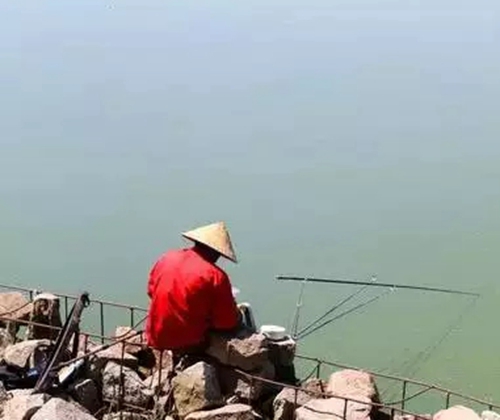 新手选择浮漂的方法和知识_WWW.YUJUCEPING.COM