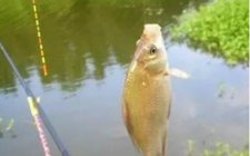 钓鱼选购浮漂方法