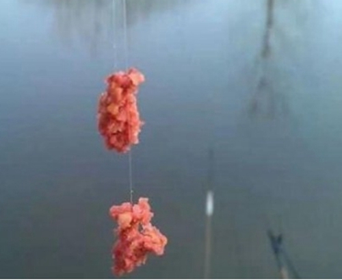 保证饵料状态技巧_WWW.YUJUCEPING.COM