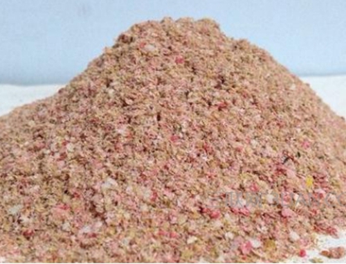 怎么挑选合适的饵料_WWW.YUJUCEPING.COM