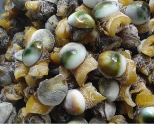 霜降钓青鱼的几款自制饵料配方_WWW.YUJUCEPING.COM