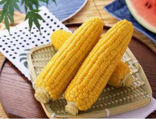 霜降钓青鱼的几款自制饵料配方_WWW.YUJUCEPING.COM