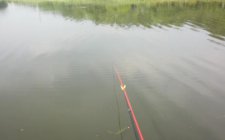 找鱼道方法总结