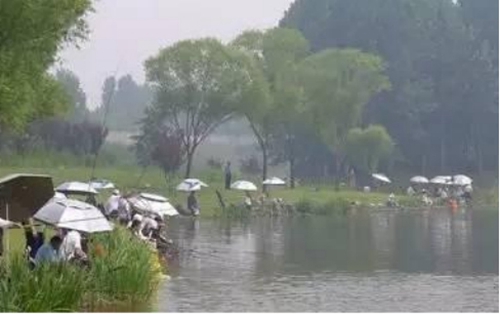 黑坑钓鲤鱼怎么偷驴_WWW.YUJUCEPING.COM