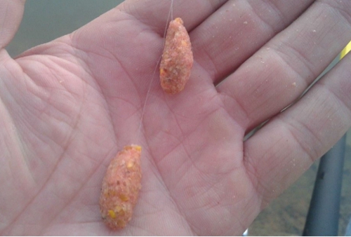 黑坑散炮饵怎么开饵_WWW.YUJUCEPING.COM