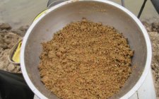 干散饵有哪些分类